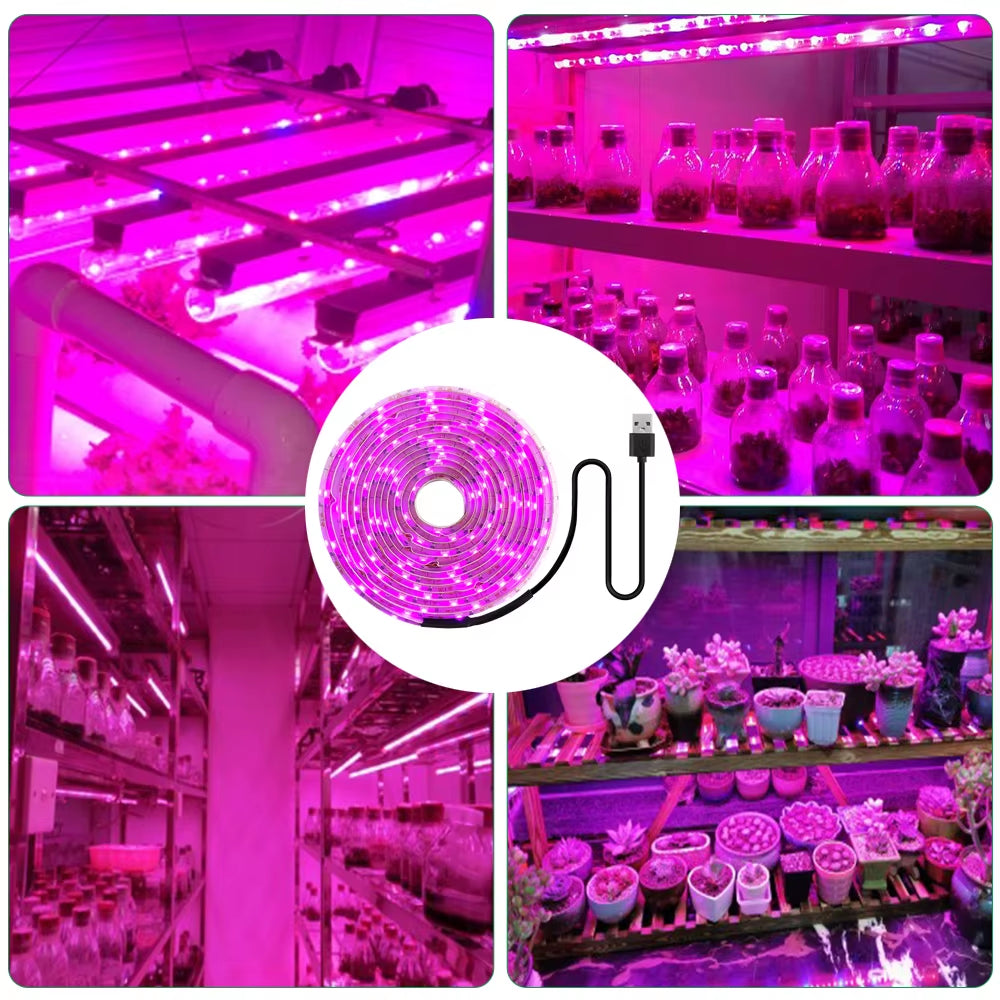 LED Grow Light Full Spectrum 5V USB Grow Light Strip 2835 LED Phyto Lamps for Plants Greenhouse Hydroponic Growing 0.5M 1M 2M 3M
